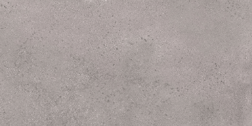 Picture of Roca - Baltic 12 x 24 Granite