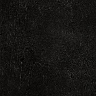 Picture of EcoDomo - Echelon Tile 9 x 18 Ebony Buffalo