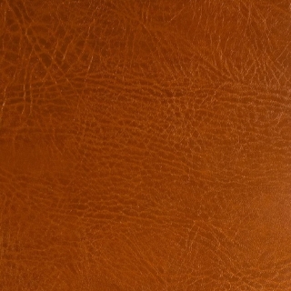 Picture of EcoDomo - Echelon Engineered 18 x 18 Gingerbread Buffalo