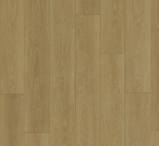 Picture of Dwellscape - Formation 12 Appalachian