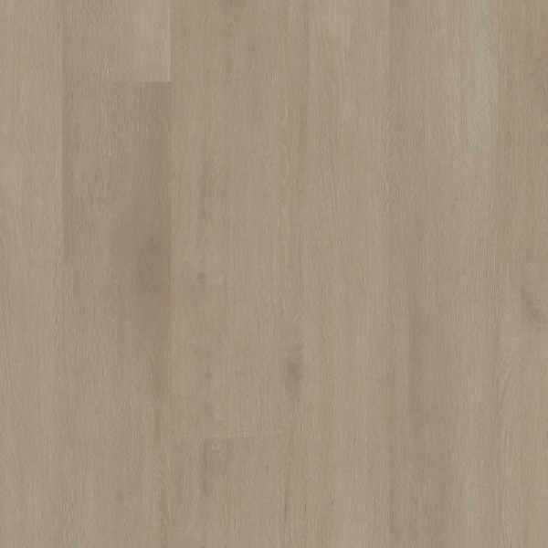 Picture of Shaw Floors - Starting Line Serene Greige