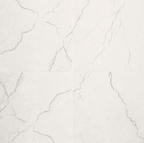 Picture of MS International - Brighton 24 x 24 Polished Grey