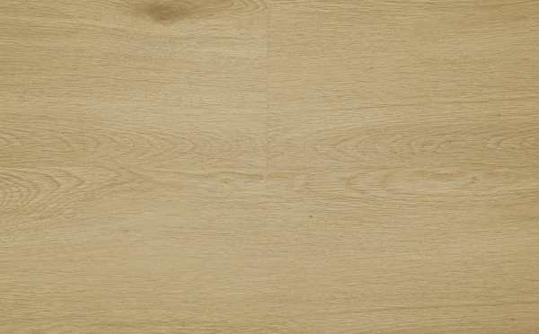 Picture of Audacity - Astonish Cypress