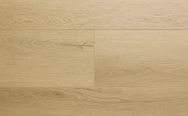 Picture of Audacity - Astonish Marshland