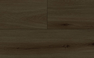 Picture of Audacity - Astonish Ozark