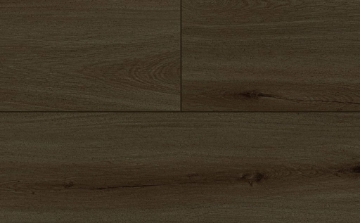 Picture of Audacity - Astonish Ozark