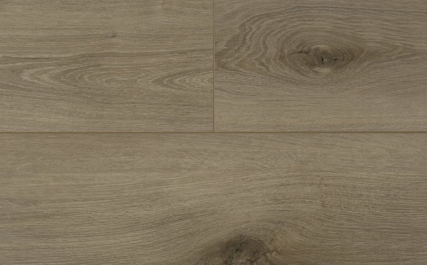 Picture of Audacity - Astonish Redrock