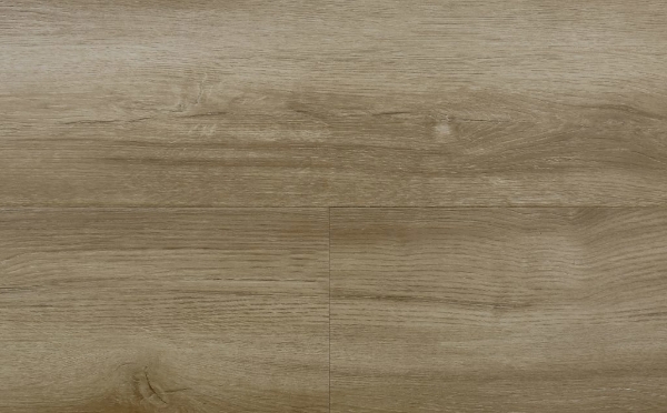 Picture of Audacity - Elegance Bordeaux