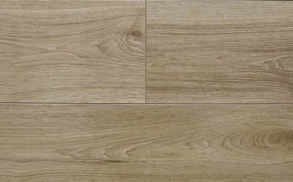 Picture of Audacity - Elegance Edinburgh