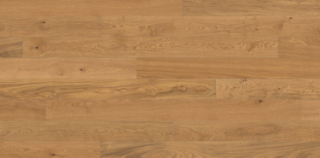 Picture of Haro - Maxim Markant