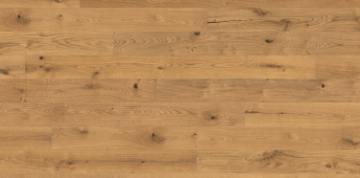 Picture of Haro - Maxim Sauvage