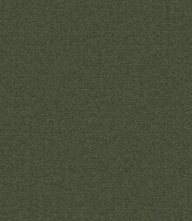 Picture of Mohawk Group - New Basics III 26 Forest