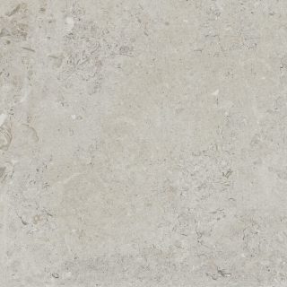 Picture of Happy Floors - Coralina Paver Blanco