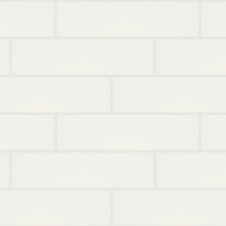 Picture of Shaw Floors - Coastal Prospect 4 x 16 Ivory