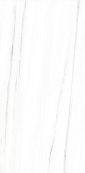 Picture of Eleganza Tiles - Italian Marble Next 24 x 48 Bianco Matte