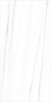 Picture of Eleganza Tiles - Italian Marble Next 24 x 48 Bianco Polished