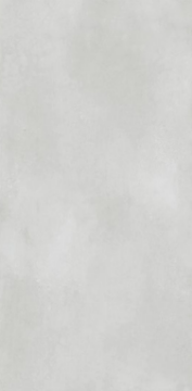 Picture of Eleganza Tiles - Metal Max Next 12 x 24 Light Grey