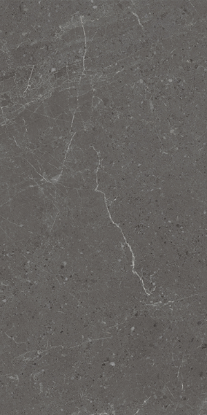 Picture of Eleganza Tiles - Monza 12 x 24 Coal