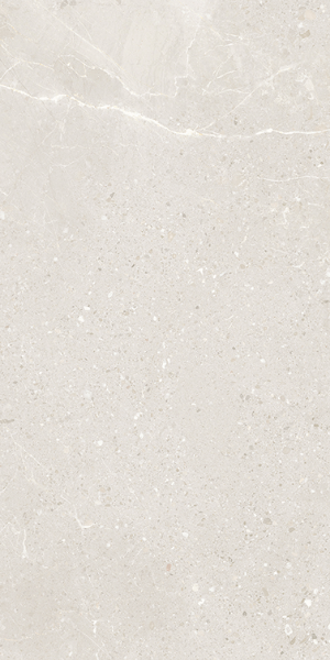 Picture of Eleganza Tiles - Monza 12 x 24 Spring