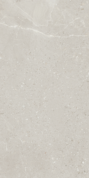 Picture of Eleganza Tiles - Monza 12 x 24 Wind