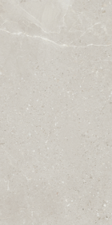 Picture of Eleganza Tiles - Monza 24 x 48 Wind