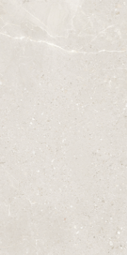 Picture of Eleganza Tiles - Monza 24 x 48 Spring