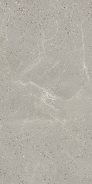 Picture of Eleganza Tiles - Monza 24 x 48 Storm