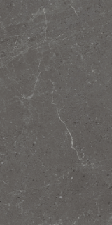 Picture of Eleganza Tiles - Monza 24 x 48 Coal