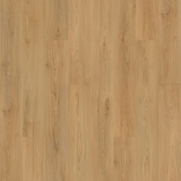 Picture of Mohawk - SolidTech Plus Barker Hollow Daisy