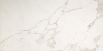 Picture of FAP Ceramiche - Roma 20 x 48 Calacatta