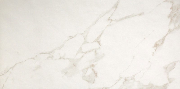 Picture of FAP Ceramiche - Roma 20 x 48 Calacatta