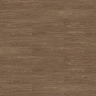 Picture of Patcraft - Treeline 20mil Carin V2