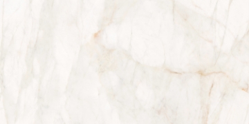 Picture of Roca - Marble Dolomita 24 x 48 Dolomita 9mm
