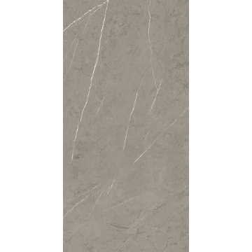 Picture of Roca - Piasentina 12 x 24 Polished Smoke