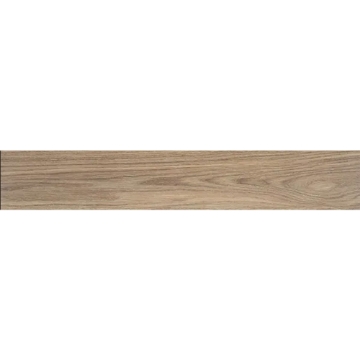 Picture of Tesoro - Ninsba Camel