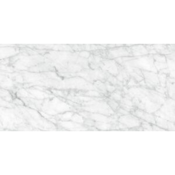 Picture of Tesoro - La Marca 12 x 24 Polished Carrara Gioia