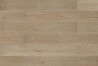 Picture of Silent Blue - Blue Armor Petrified Oak