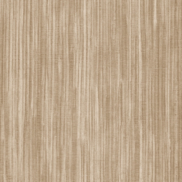 Picture of Shaw Contract - Colorlink 2.5 Evoke