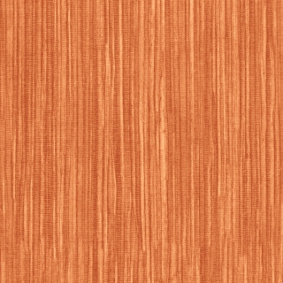 Picture of Shaw Contract - Colorlink 2.5 Zest