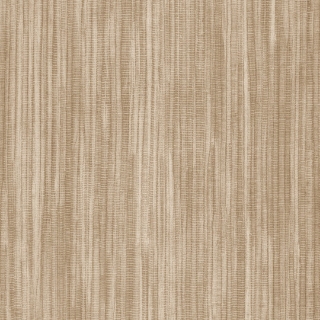 Picture of Shaw Contract - Colorlink 5.0 Evoke