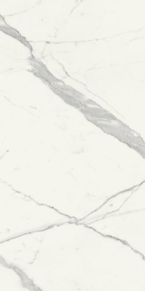 Picture of Marca Corona - Scultorea 24 x 48 Statuario Vena Argento