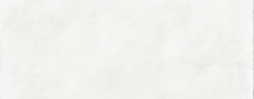 Picture of Milestone - Earthen 12 x 24 Grip Whisper