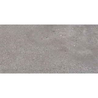 Picture of Milestone - Area 51 Paver 24 x 48 Steel