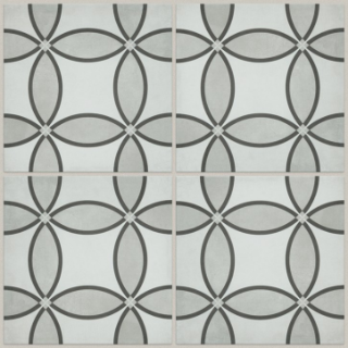 Picture of Shaw Builder - Resurgence Isabella Opal