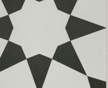 Picture of Shaw Builder - TB Resurgence Josephina Onyx