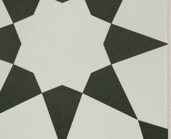 Picture of Shaw Builder - TB Resurgence Josephina Onyx