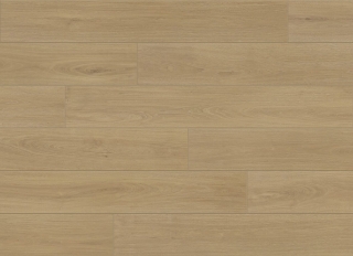 Picture of Aquashield - Estate Flagler