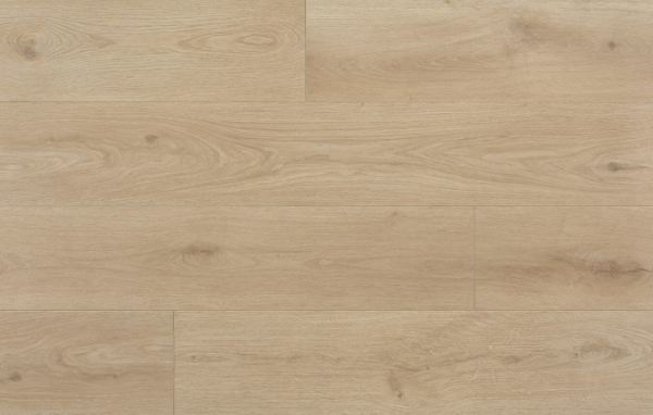 Picture of Aquashield - Estate Vizcaya