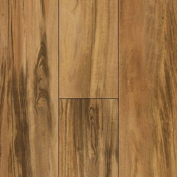 Picture of Titan Surfaces - Epic Salvador