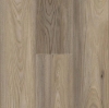 Picture of Titan Surfaces - Genesis Buffalo Elm